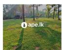 Land For Sale In Homagama Halbarawa